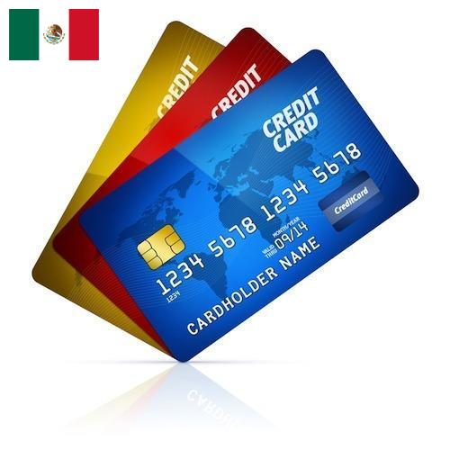 Кредитницы из Мексики