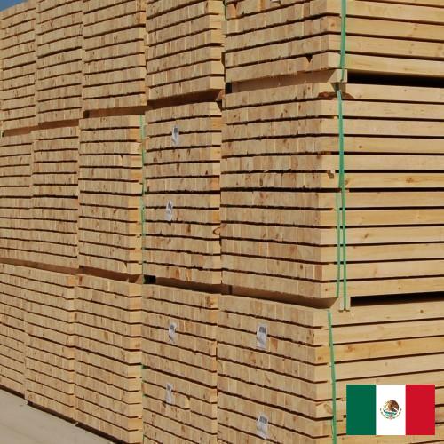 Лесоматериалы из Мексики