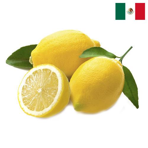 лимон свежий из Мексики