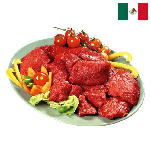 мясная продукция из Мексики