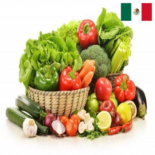 Овощи свежие из Мексики