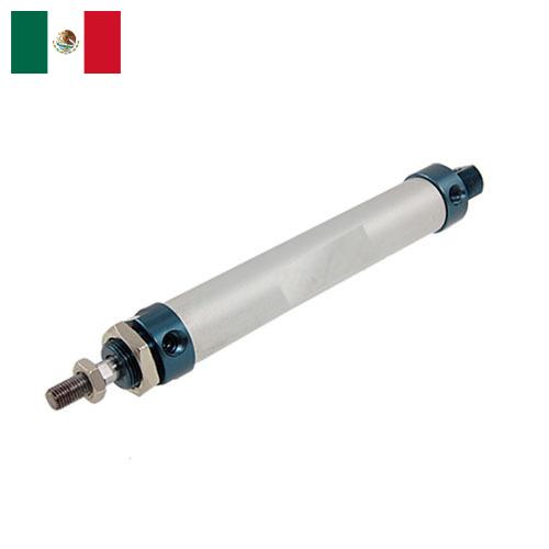 Поршень цилиндра из Мексики