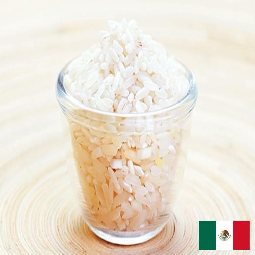 рис шлифованный из Мексики