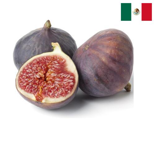 Рис из Мексики