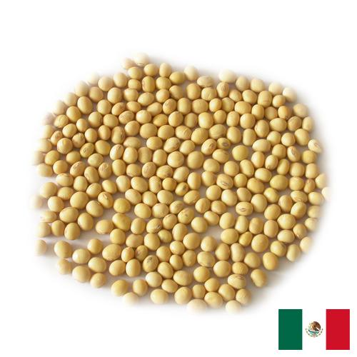 Семена сои из Мексики