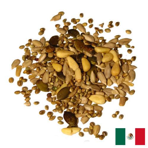 Семена из Мексики