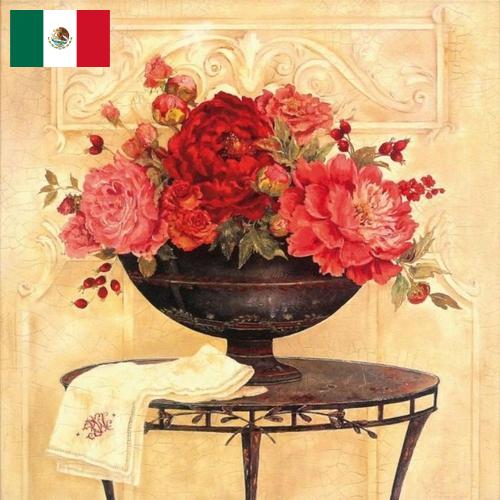 Шторы декоративные из Мексики