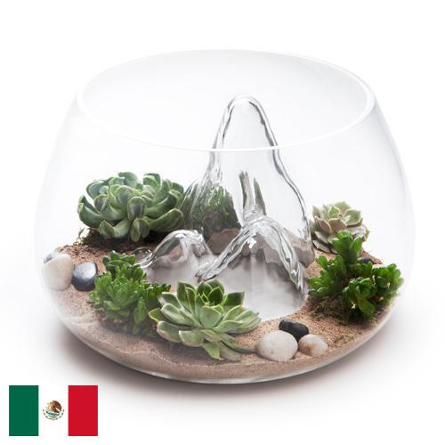 Террариумы из Мексики