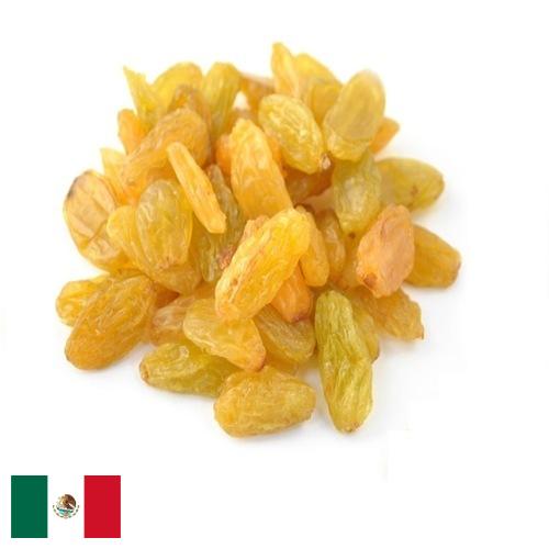 виноград сушеный из Мексики