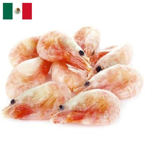 замороженные креветки из Мексики