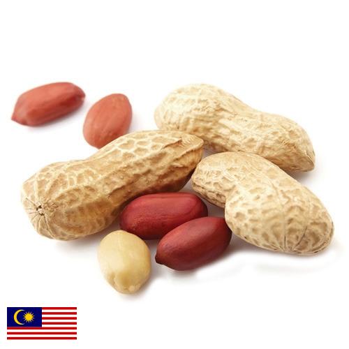 арахис очищенный из Малайзии