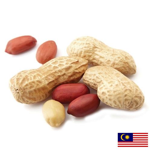 Арахис из Малайзии