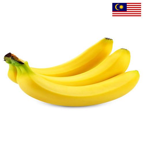Бананы из Малайзии