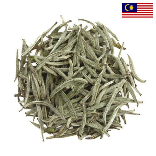 Белый чай из Малайзии