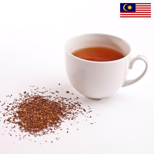 чай ройбуш из Малайзии