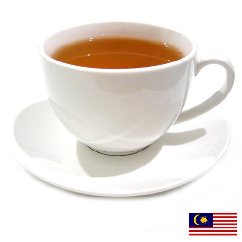 Чай из Малайзии