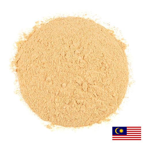 чеснок порошок из Малайзии