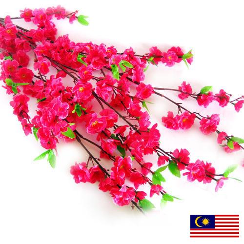 Цветы искусственные из Малайзии