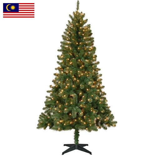 Деревья новогодние из Малайзии