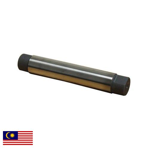 Дорн из Малайзии