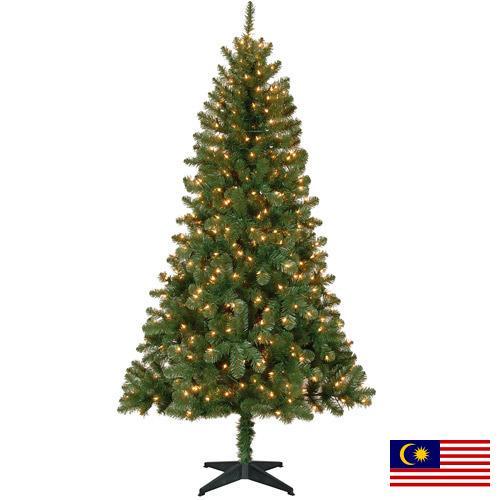 Елки новогодние из Малайзии