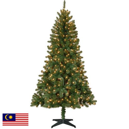 елки из Малайзии