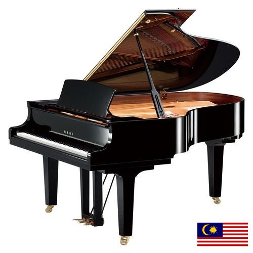 Фортепиано из Малайзии