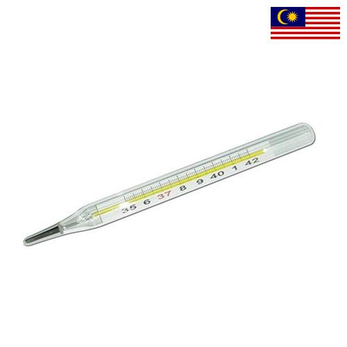 градусник из Малайзии