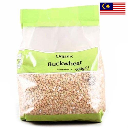 Гречневая крупа из Малайзии