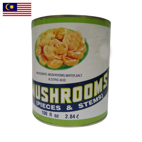 Грибы консервированные из Малайзии