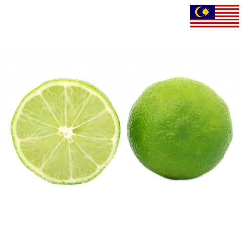 Известь из Малайзии