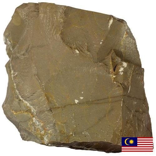 Известняк из Малайзии