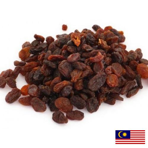 Изюм из Малайзии
