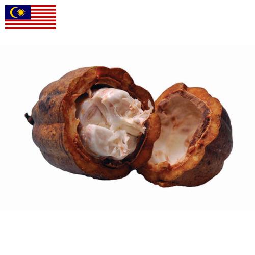 Какао масло из Малайзии