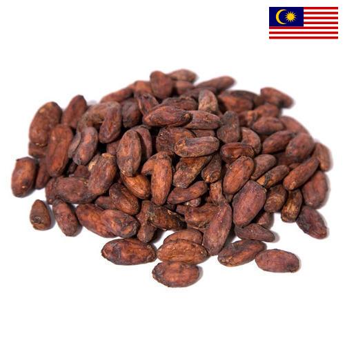 какао-бобы из Малайзии