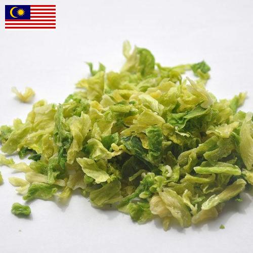 капуста сушеная из Малайзии
