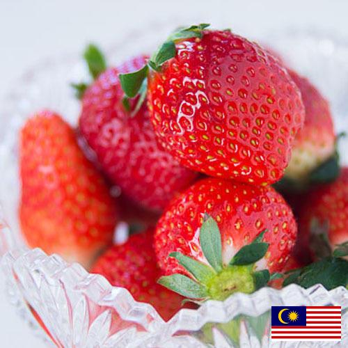 клубника замороженная из Малайзии