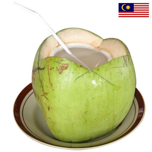 кокосовая вода из Малайзии