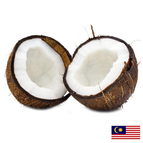 Кокосы из Малайзии