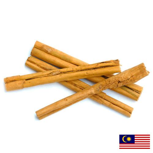 Корица из Малайзии