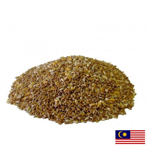 Корма для птицы из Малайзии