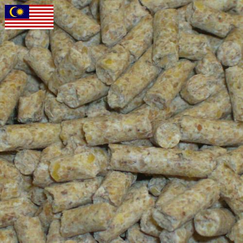 Корма для свиней из Малайзии