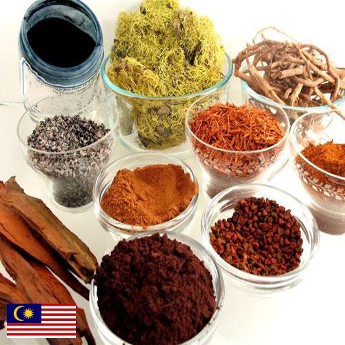 Красители натуральные из Малайзии