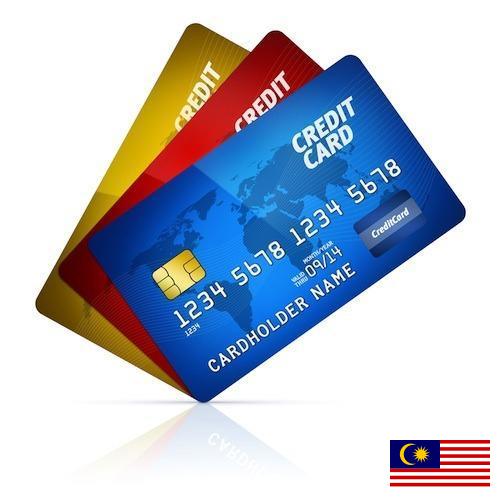 Кредитницы из Малайзии