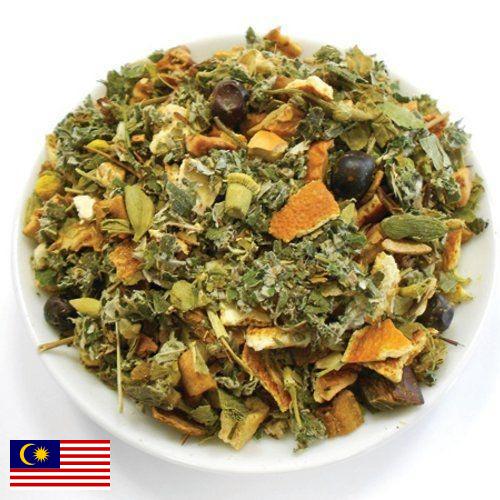 Лекарственные травы из Малайзии