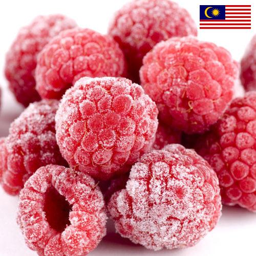 малина замороженная из Малайзии