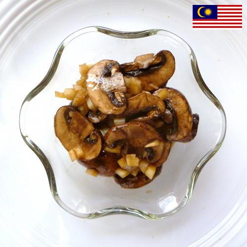 Маринованные грибы из Малайзии