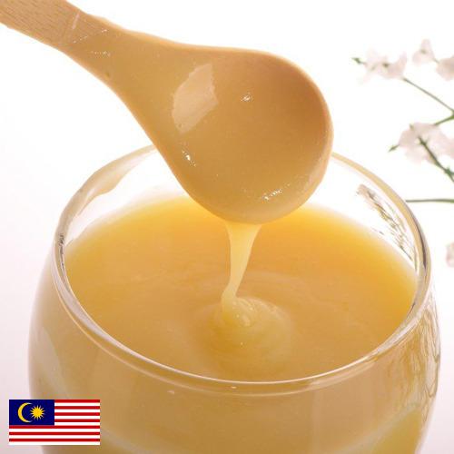 Маточное молочко из Малайзии