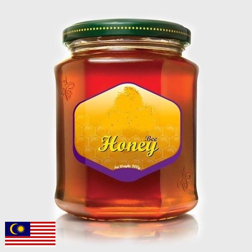 мед натуральный из Малайзии