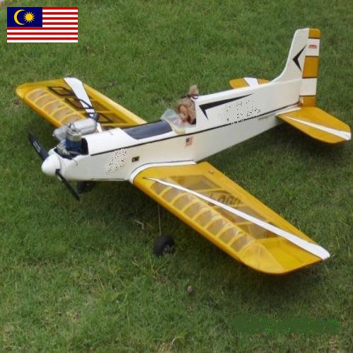 модель самолета из Малайзии